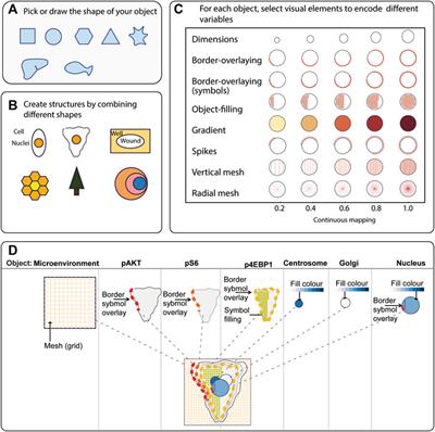 ShapoGraphy: A User-Friendly Web Application for Creating Bespoke and Intuitive Visualisation of Biomedical Data